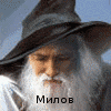 milov_2v